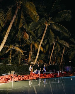 Under towering palm trees, a group of people stand near a pool with vibrant red material spread on the ground. The scene is dimly lit with a combination of artificial lights strung through the trees and ambient light from the surroundings. The peaceful ambiance is complemented by the lush greenery and reflective water surface.