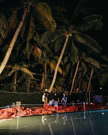 Under towering palm trees, a group of people stand near a pool with vibrant red material spread on the ground. The scene is dimly lit with a combination of artificial lights strung through the trees and ambient light from the surroundings. The peaceful ambiance is complemented by the lush greenery and reflective water surface.