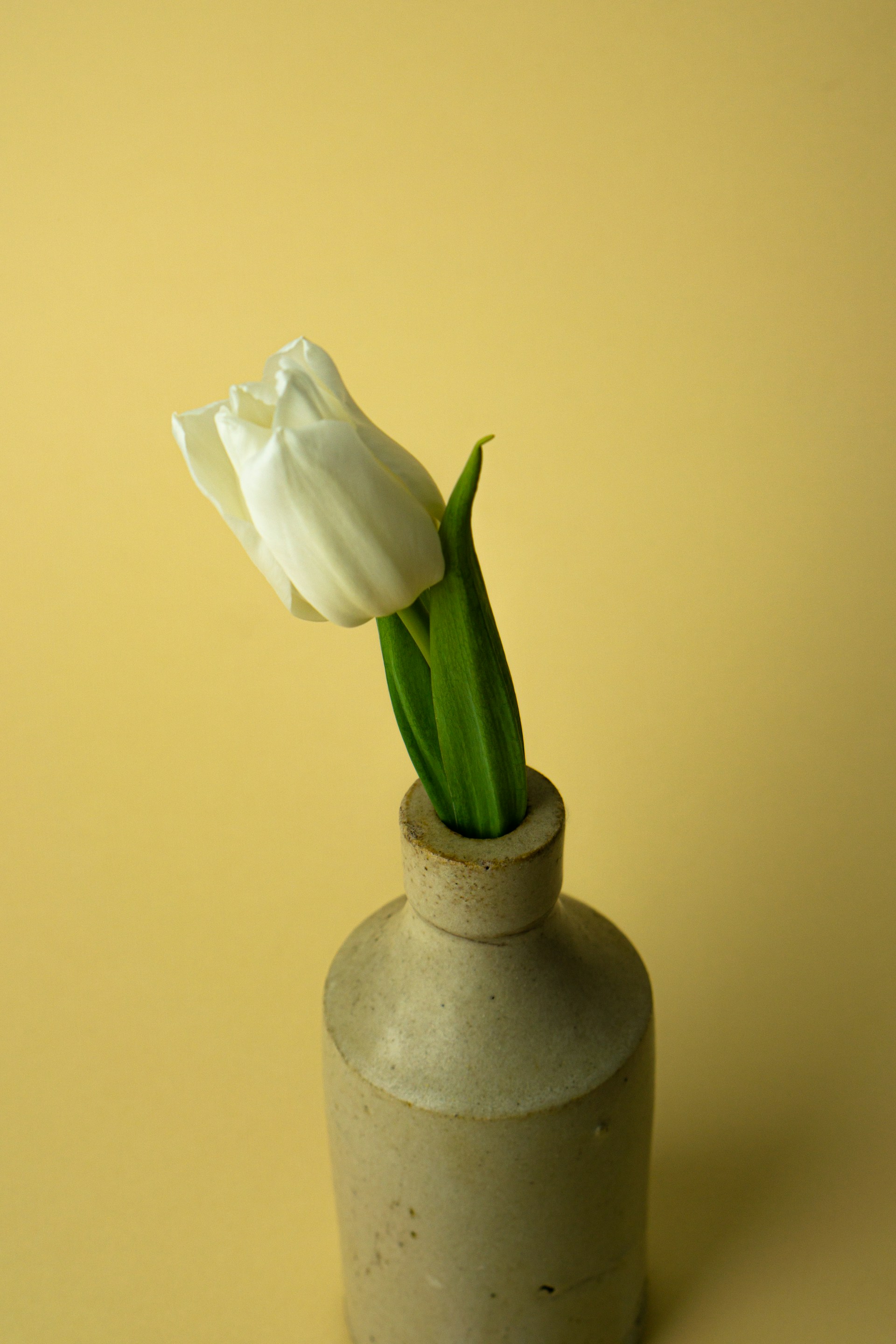 white flower in white ceramic vase