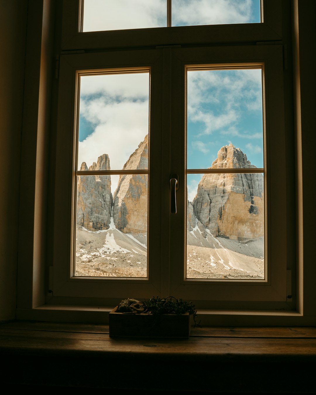 green potted plant on window