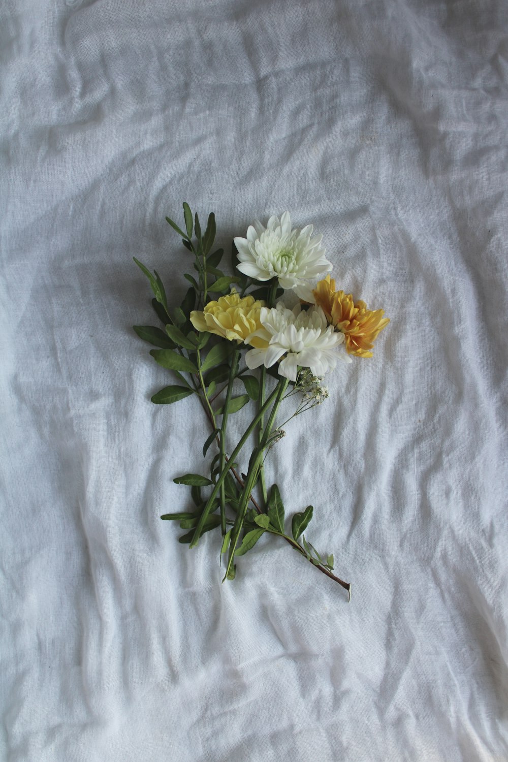 흰색 섬유에 흰색과 노란색 꽃