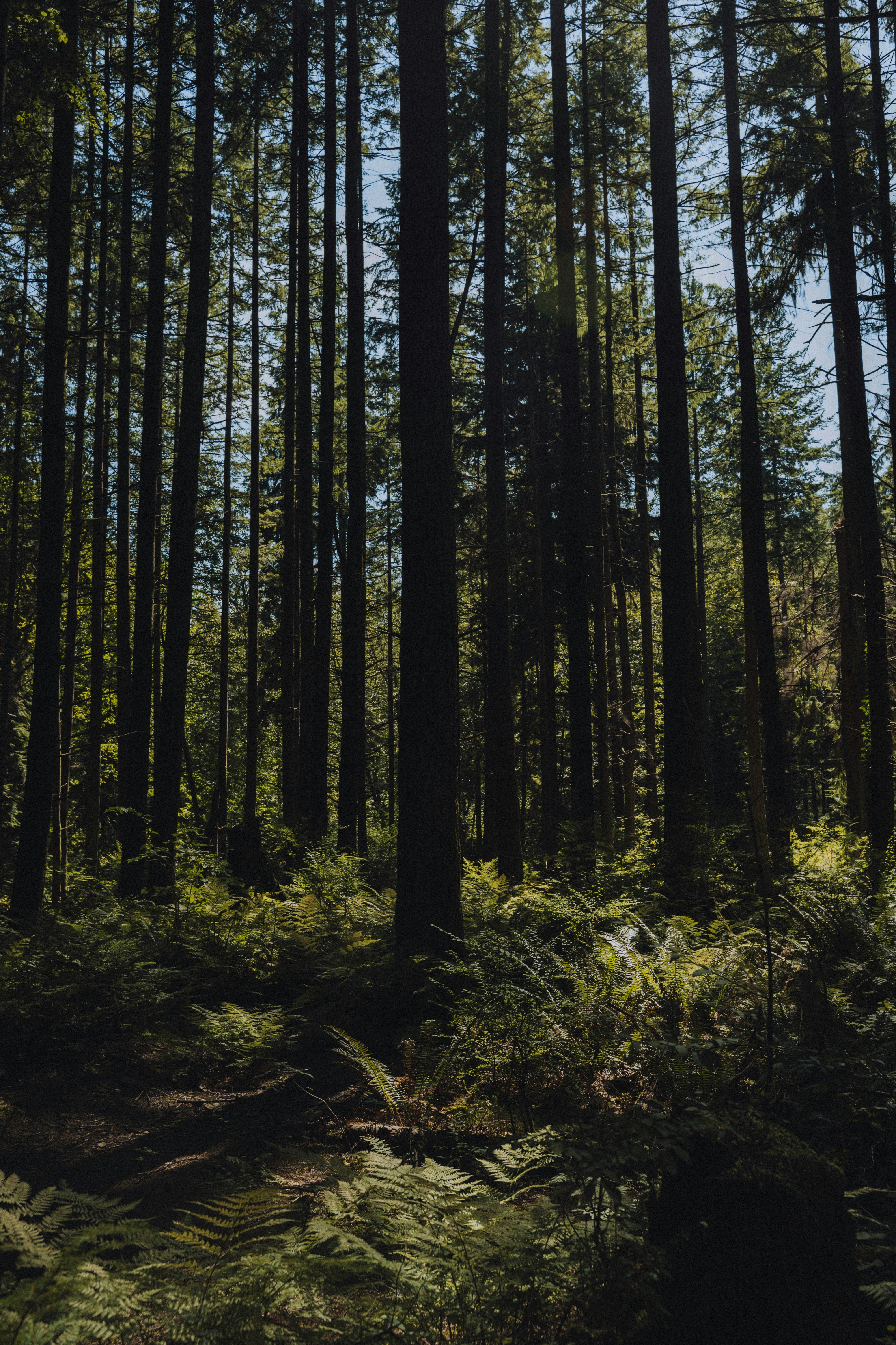 Photo by thomaslrdeau