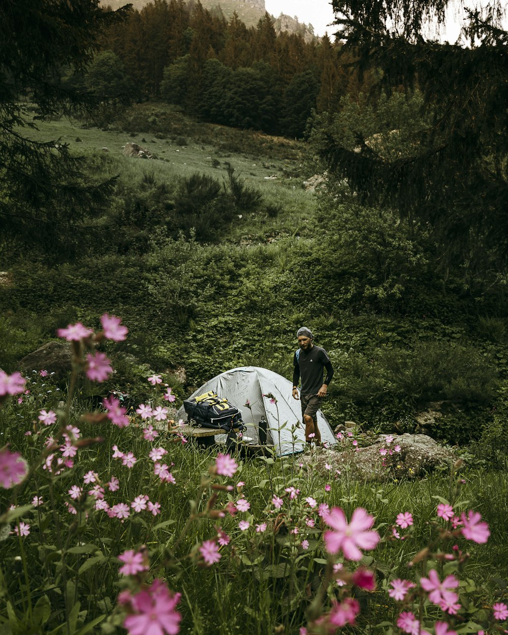 man in black t-shirt and blue denim jeans standing near pink flowers during daytime