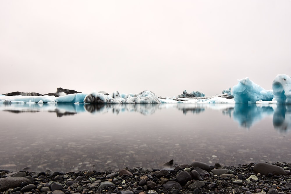 a body of water with icebergs in the background