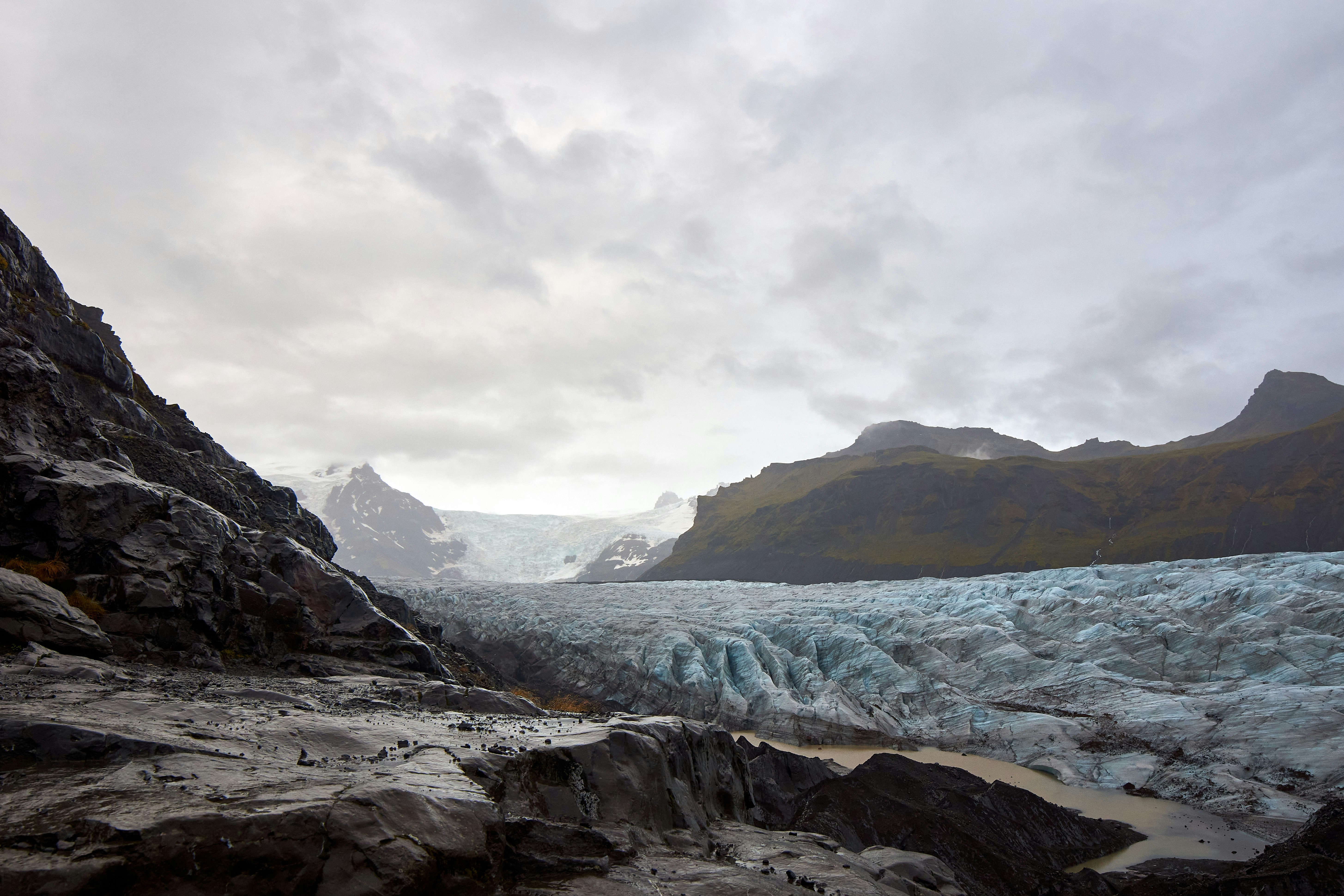 Photo by wolfgang_hasselmann