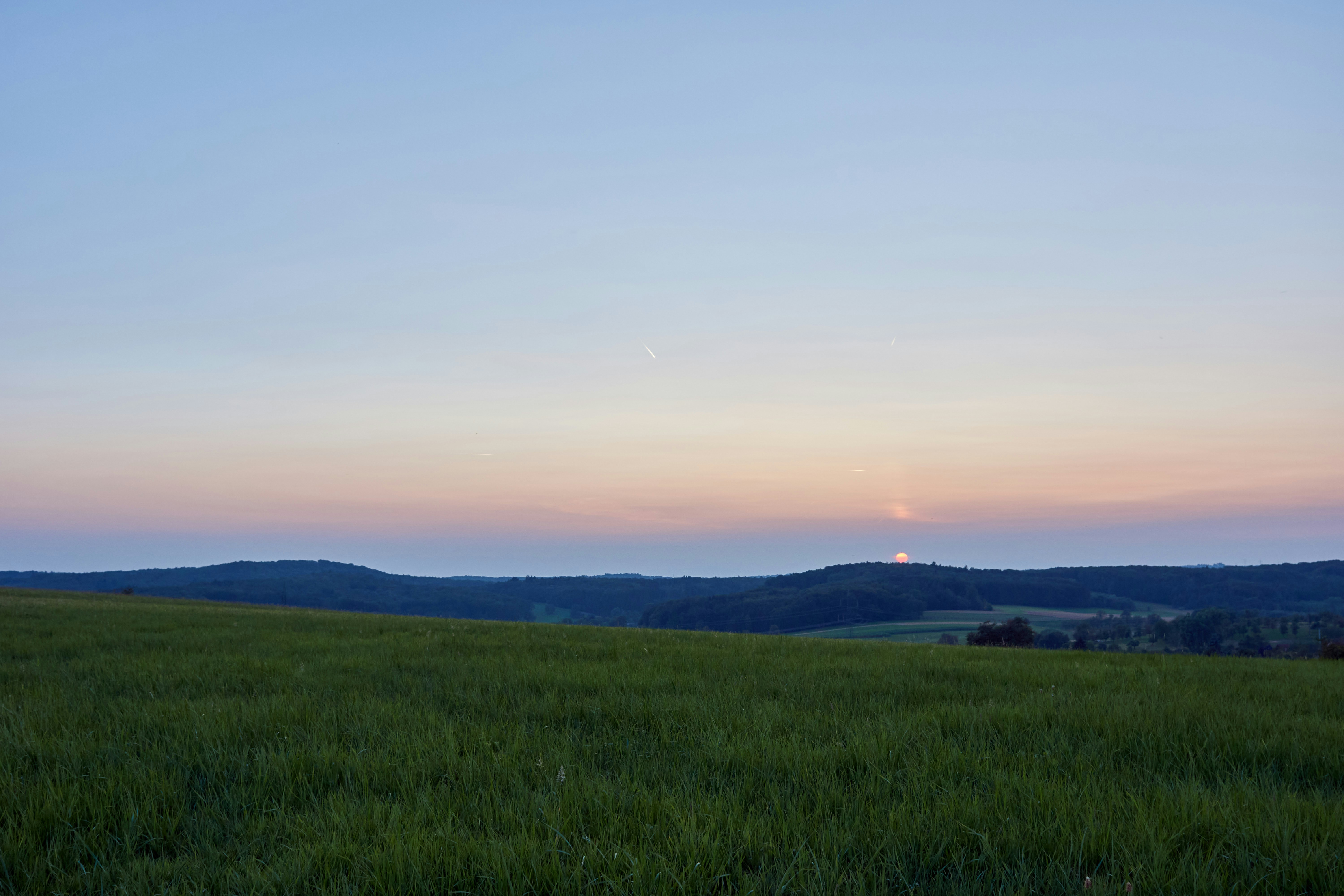 Photo by wolfgang_hasselmann