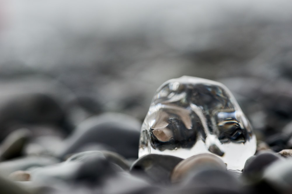 clear glass skull with white powder