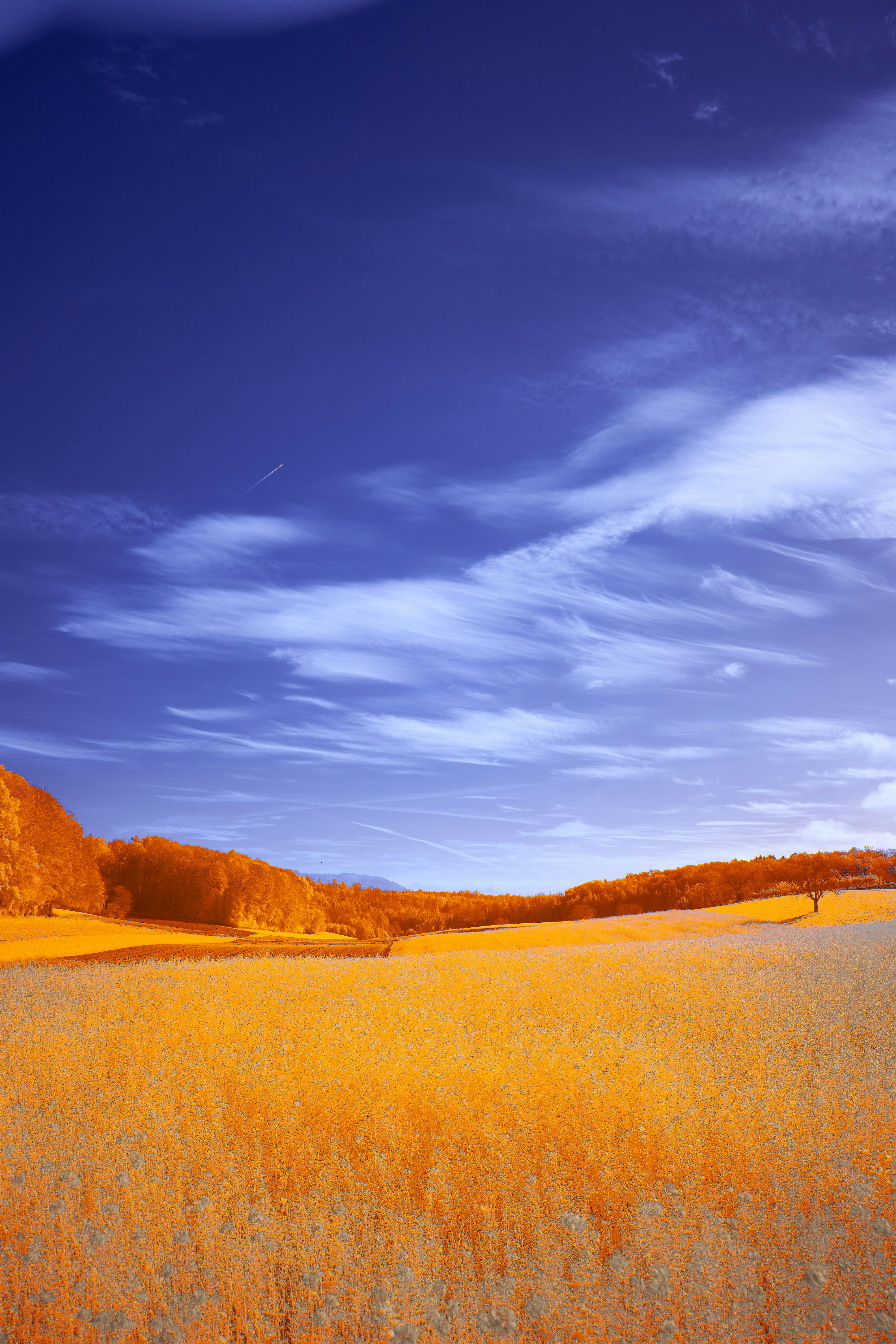 Photo by wolfgang_hasselmann