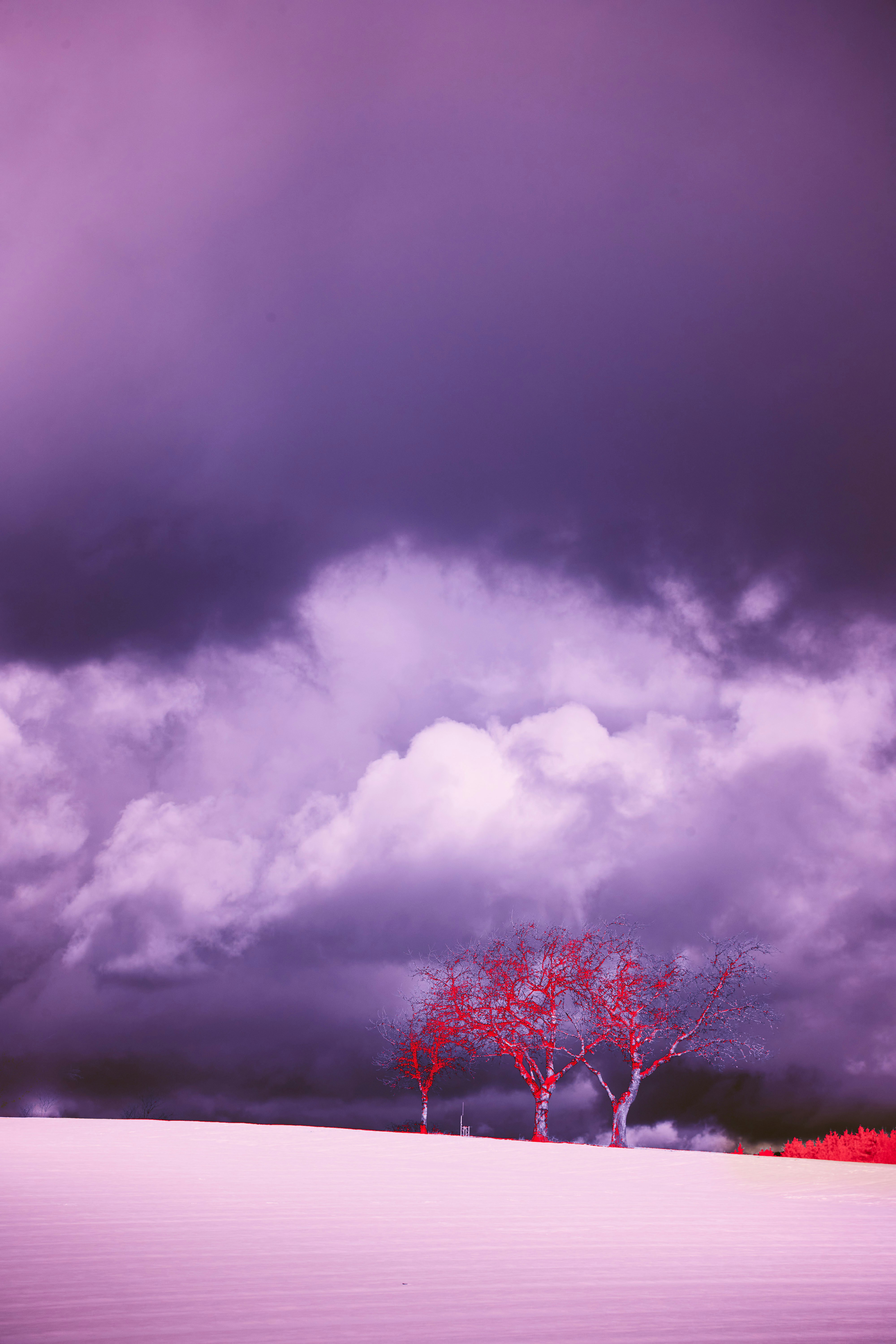 Photo by wolfgang_hasselmann