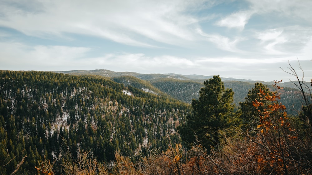 arbres verts sur la montagne sous les nuages blancs pendant la journée