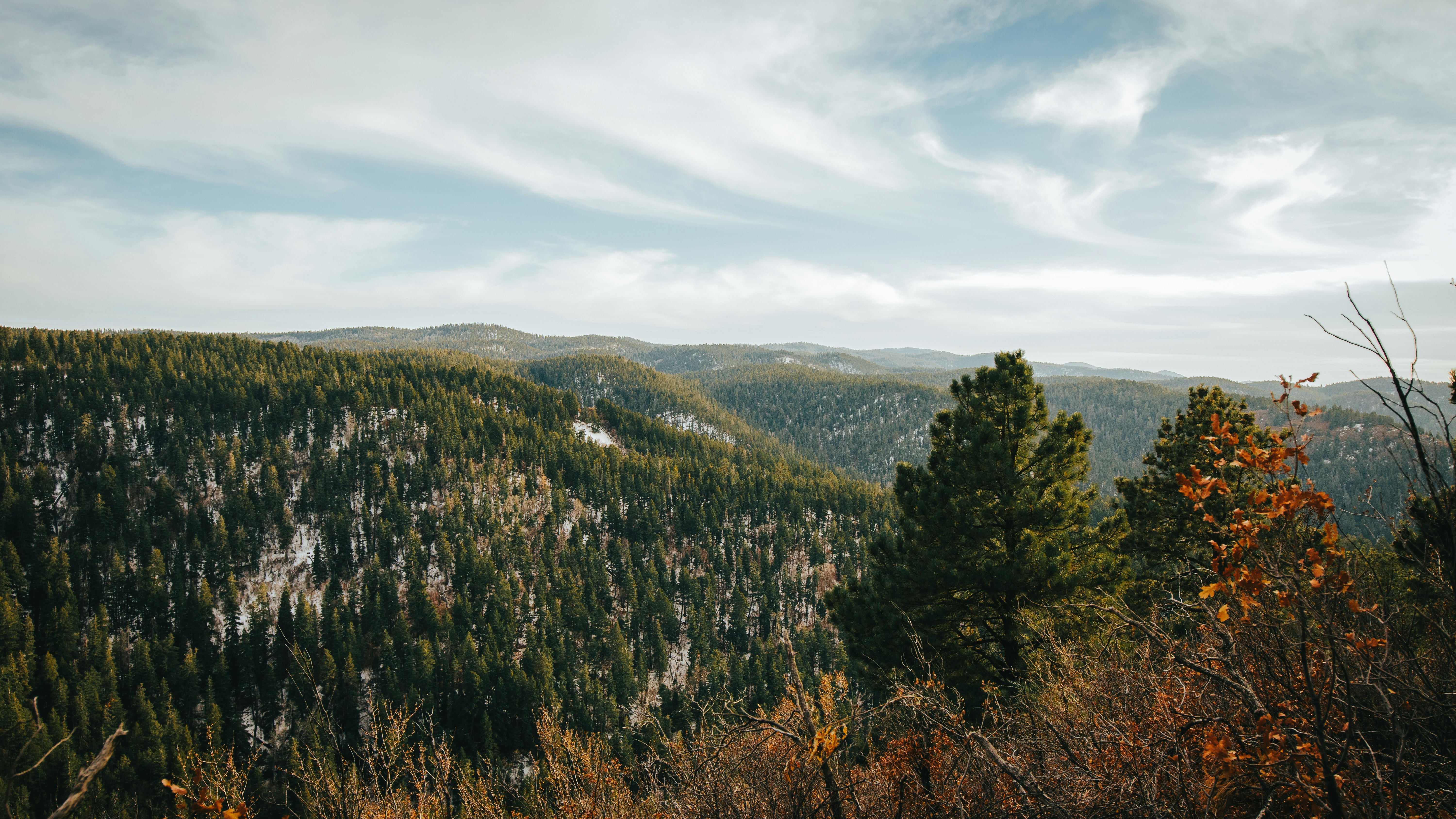 green trees on mountain under white clouds during daytime