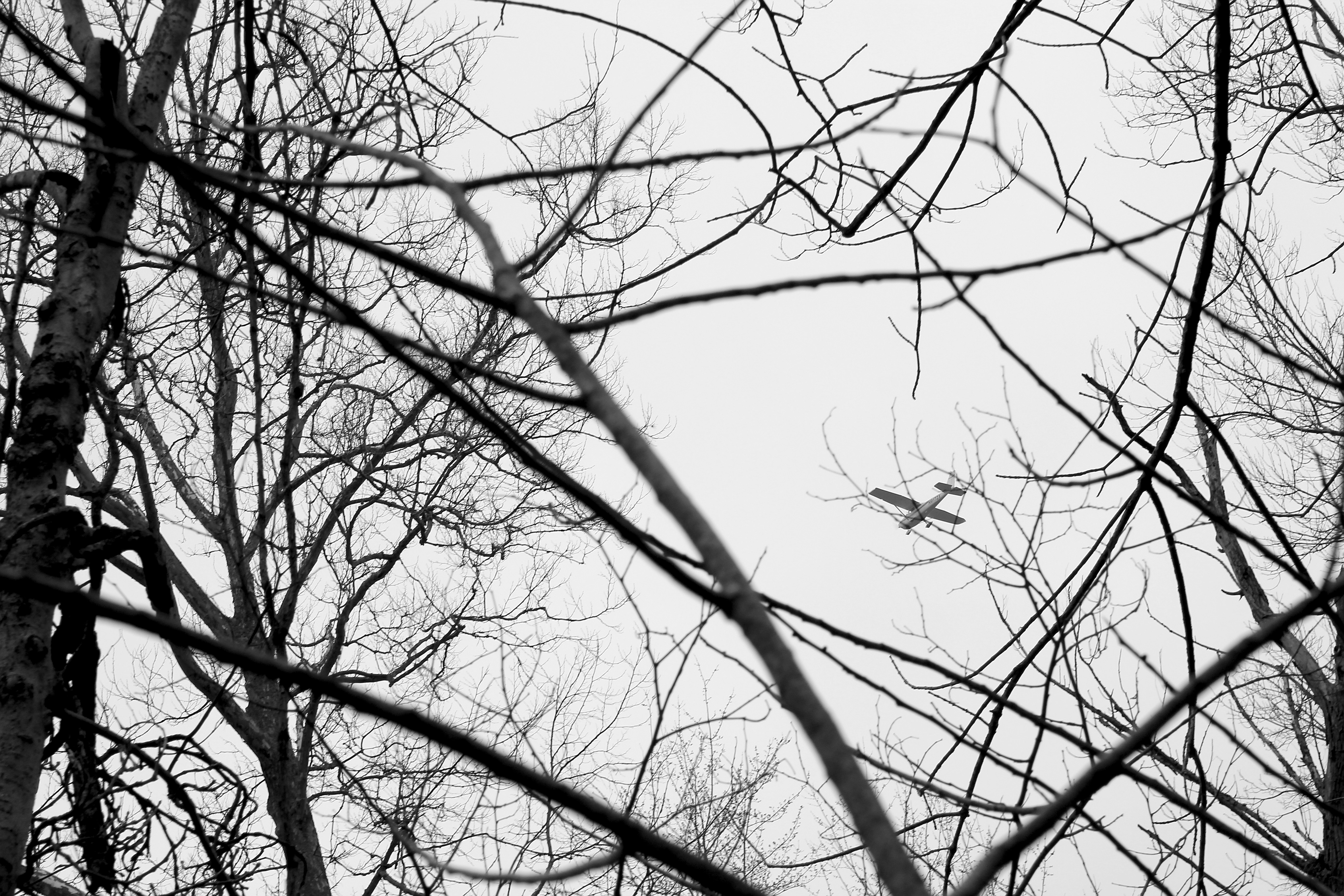 Photo by mrgreatheart