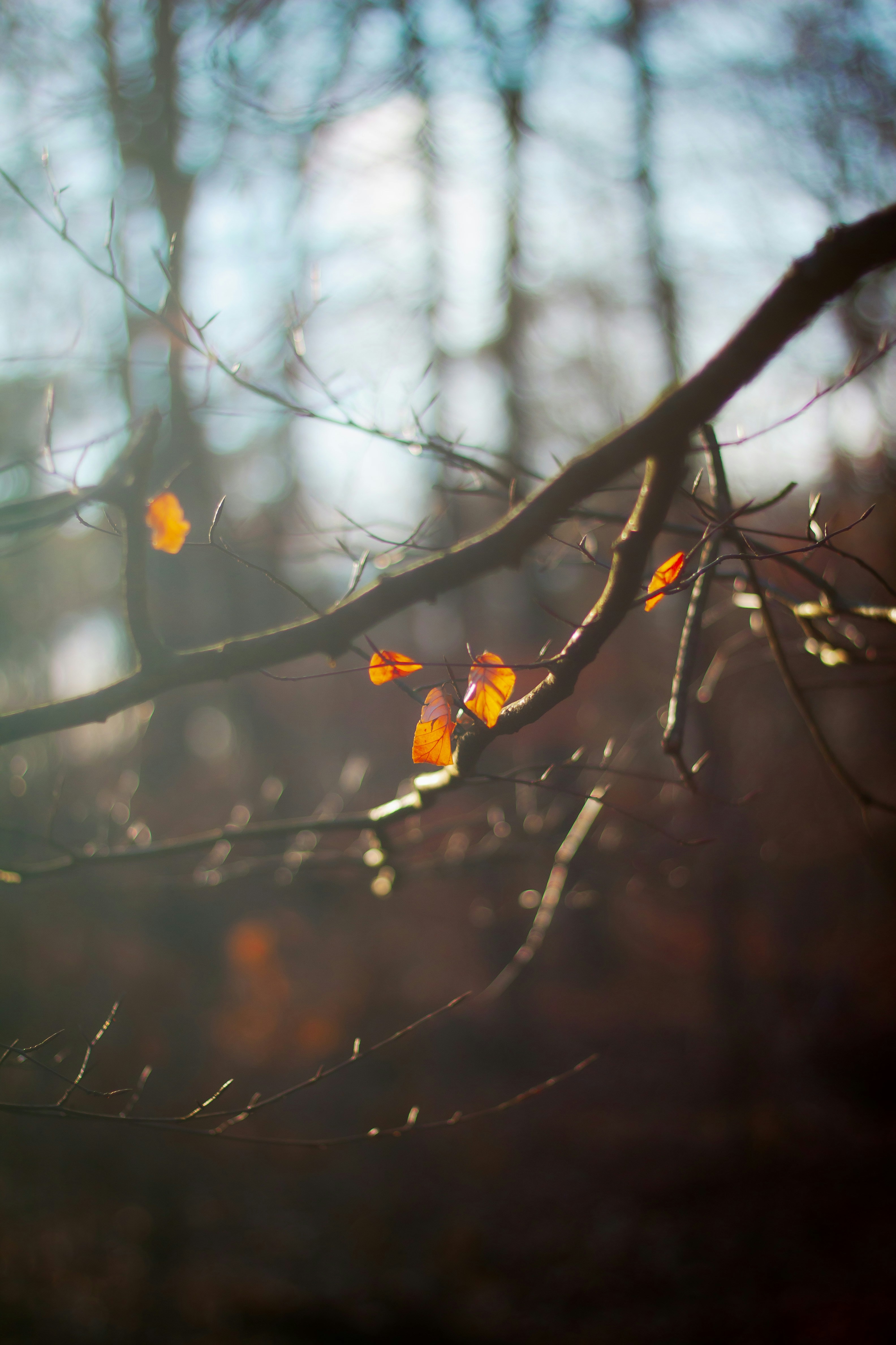 Photo by thulfiqarali