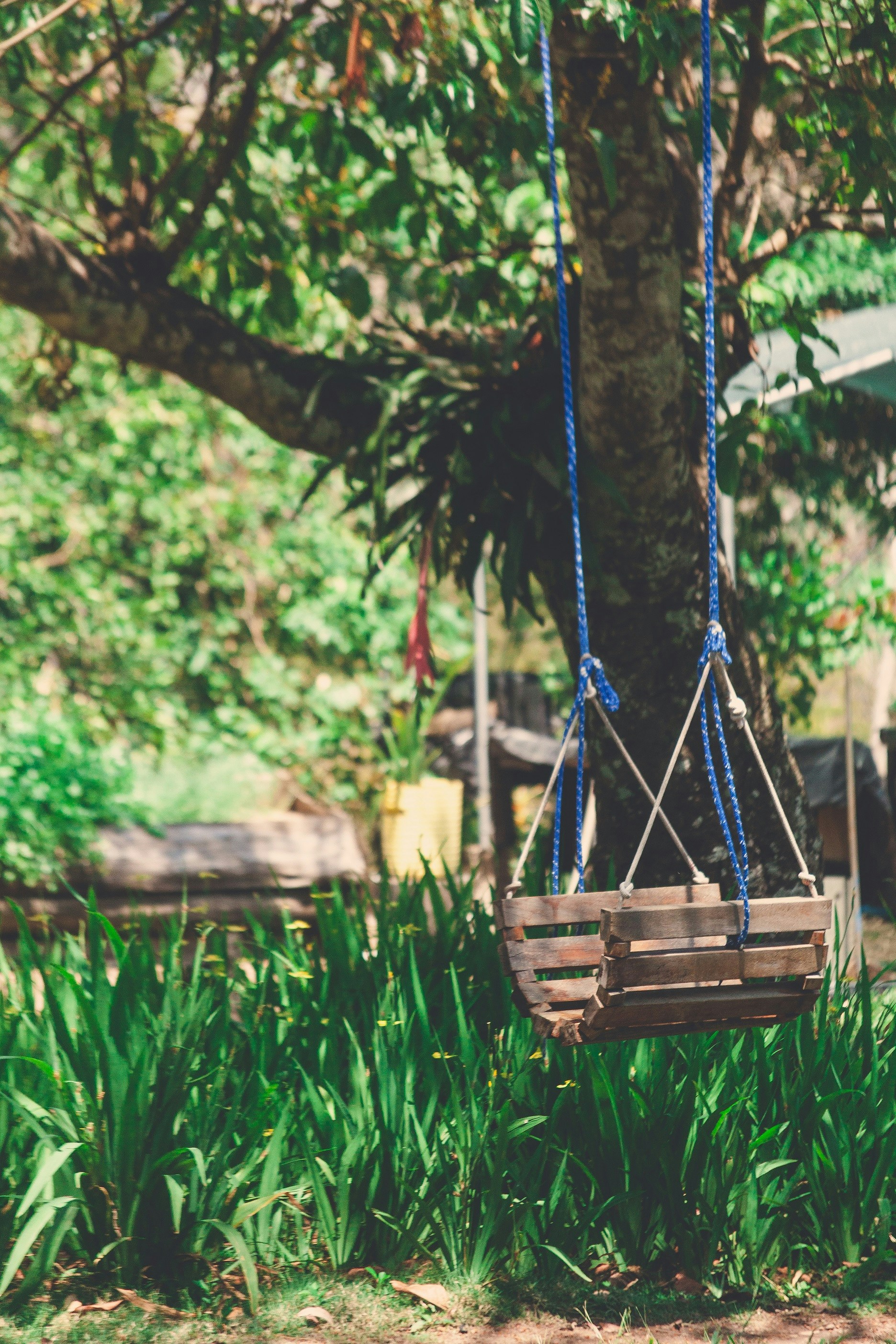 Photo by alejandroalas7536