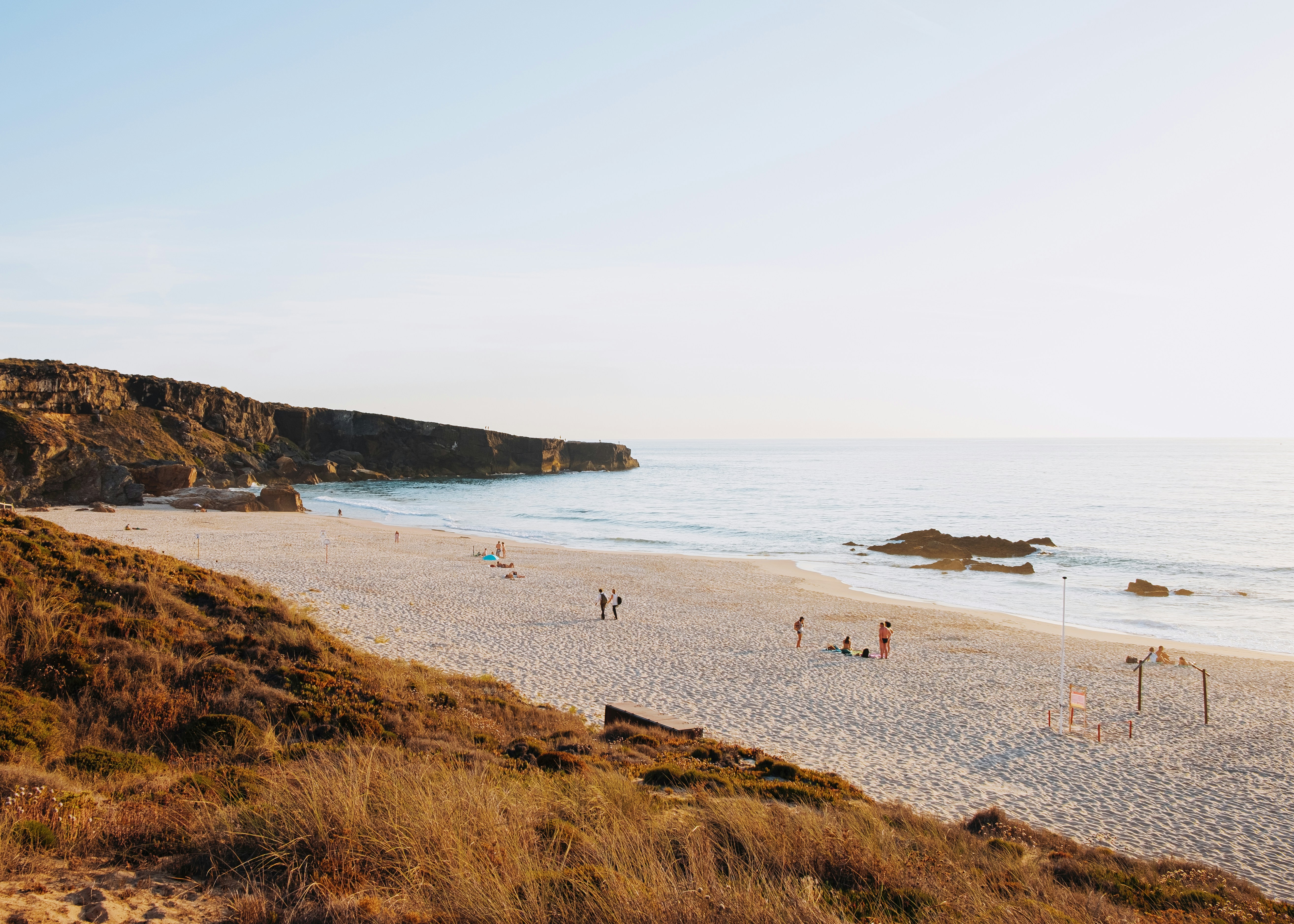 people on beach during daytime