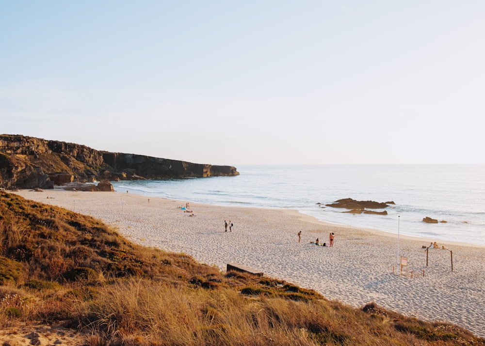 people on beach during daytime