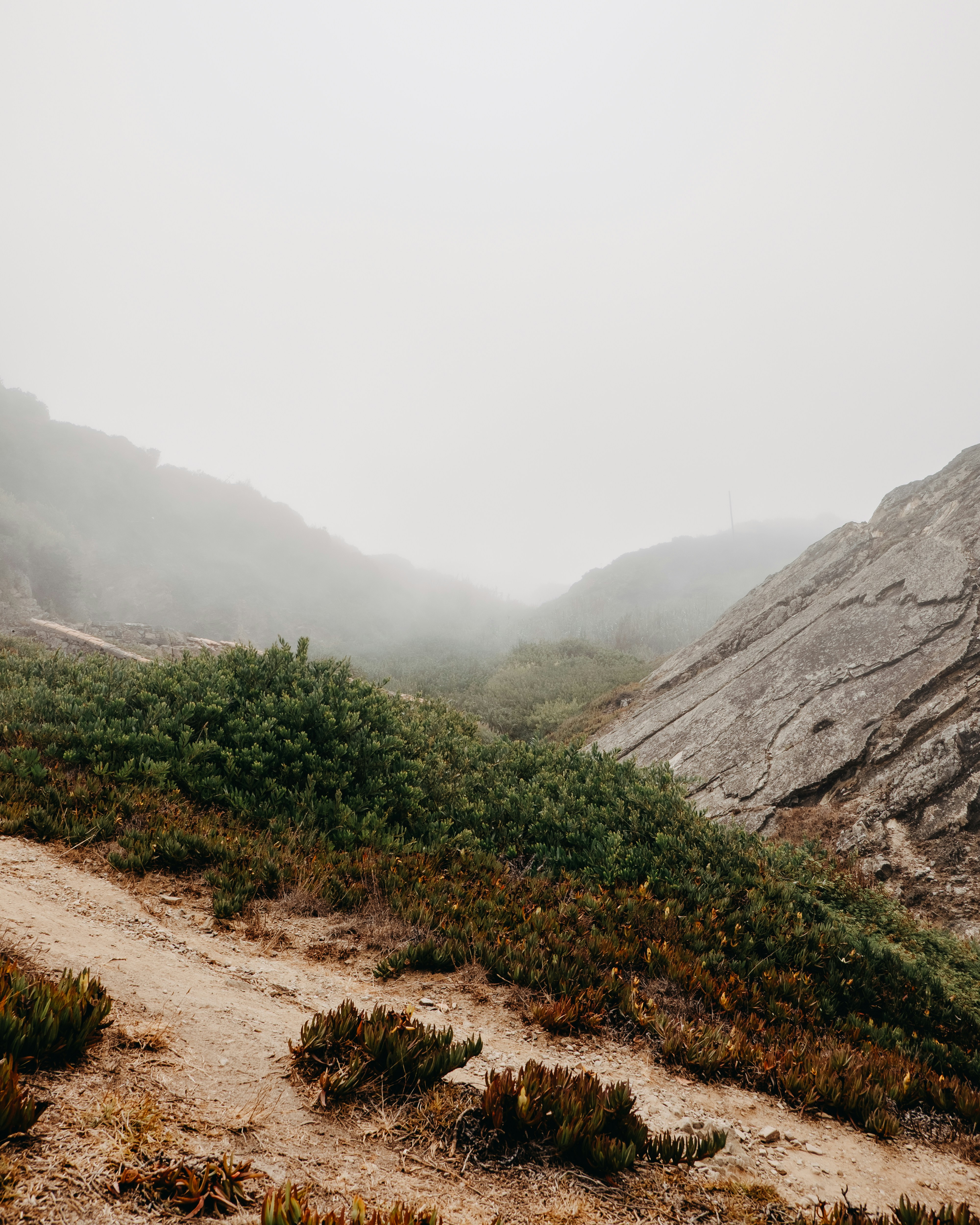 Photo by natanaelvieir