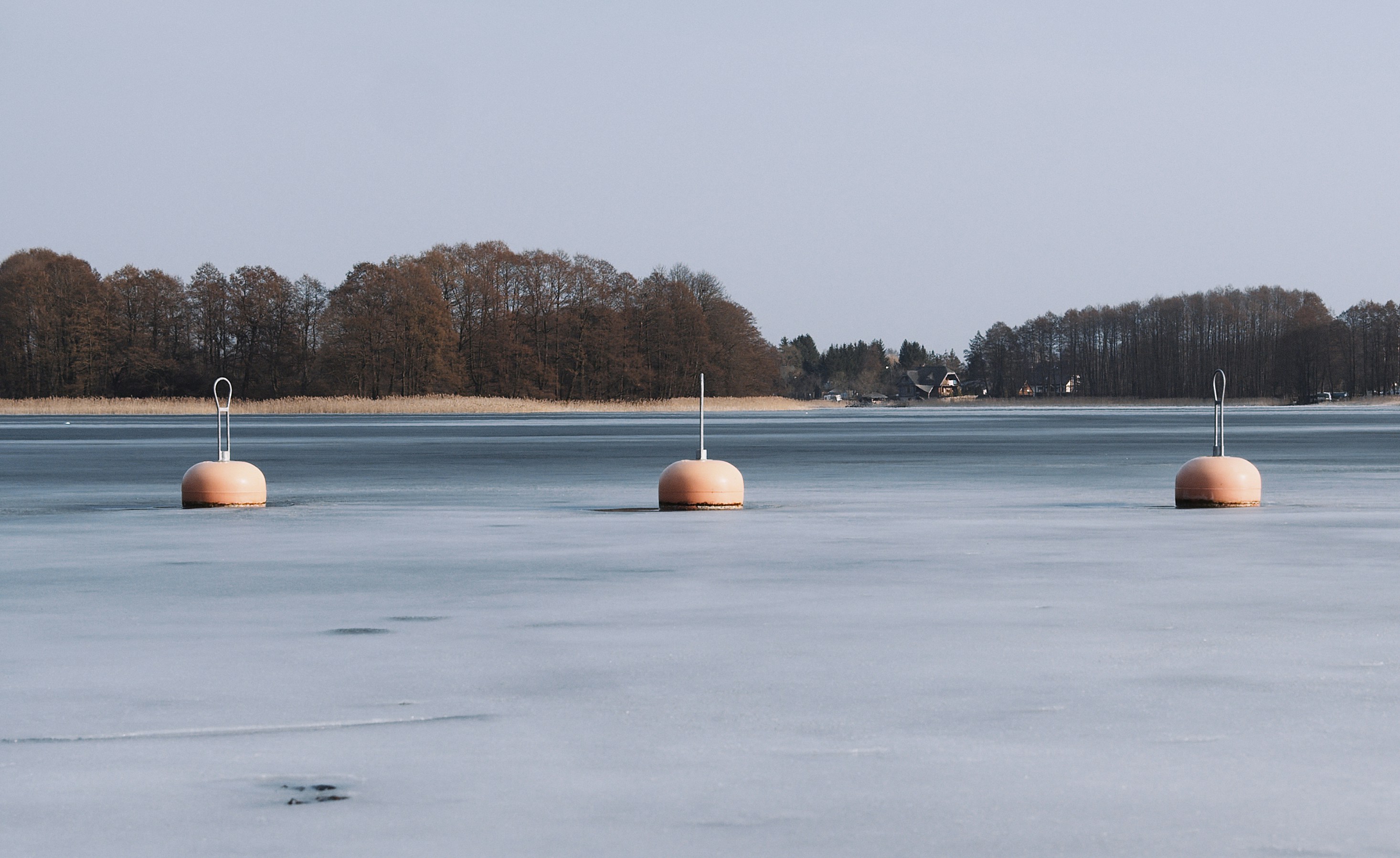 brown and white lamp post on snow covered ground during daytime