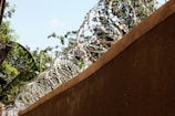 A concrete wall topped with loops of razor wire is visible, with lush green foliage and a clear blue sky in the background. The contrast between the natural greenery and the man-made barrier is pronounced.