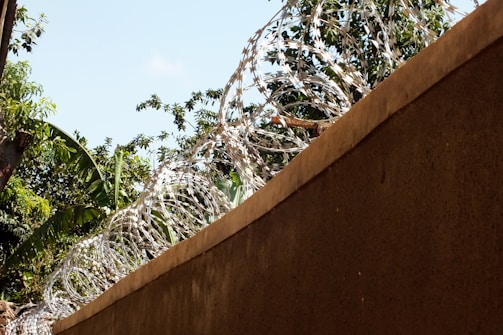 A concrete wall topped with loops of razor wire is visible, with lush green foliage and a clear blue sky in the background. The contrast between the natural greenery and the man-made barrier is pronounced.