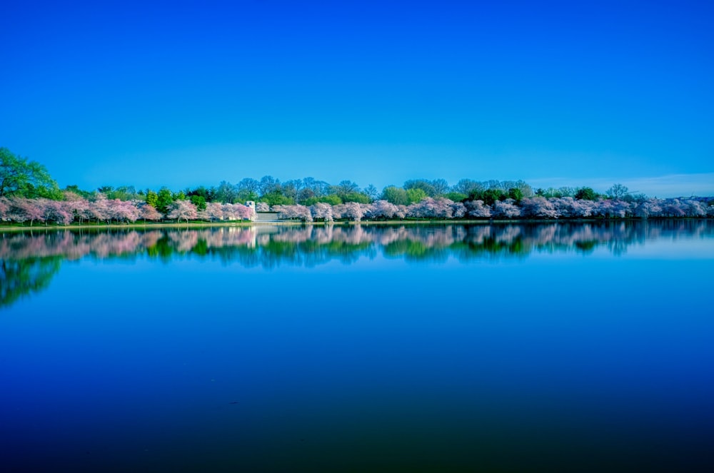 blue sky over lake during daytime