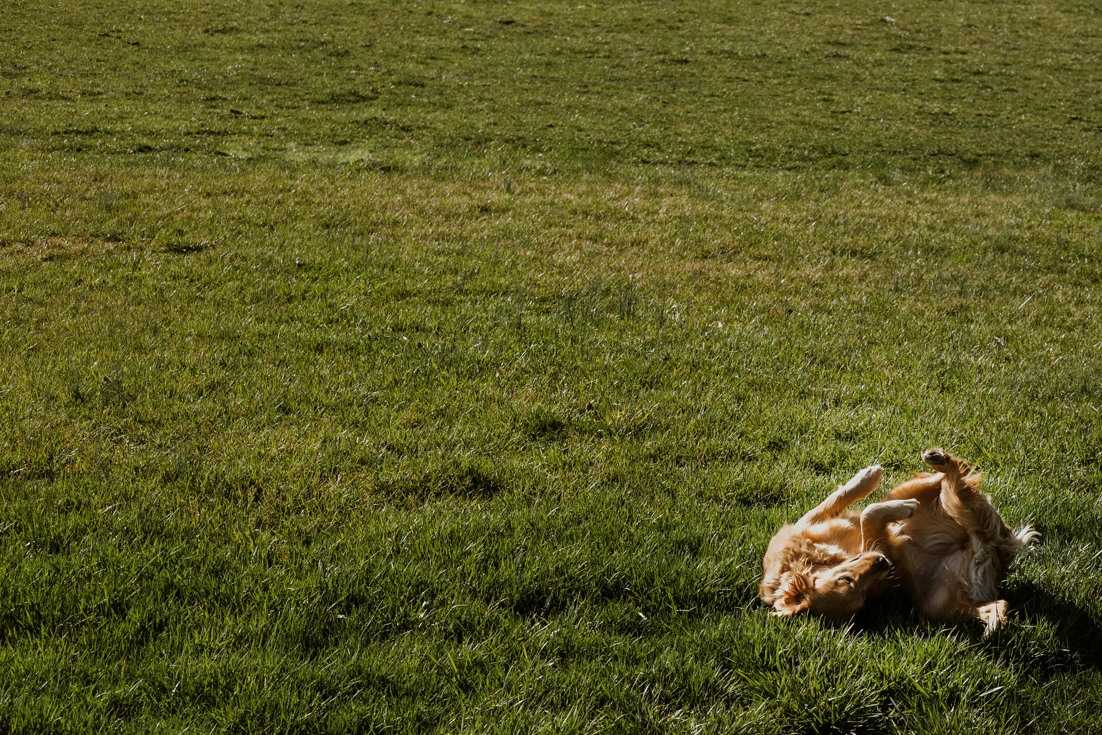 Photo by isaacmehegan