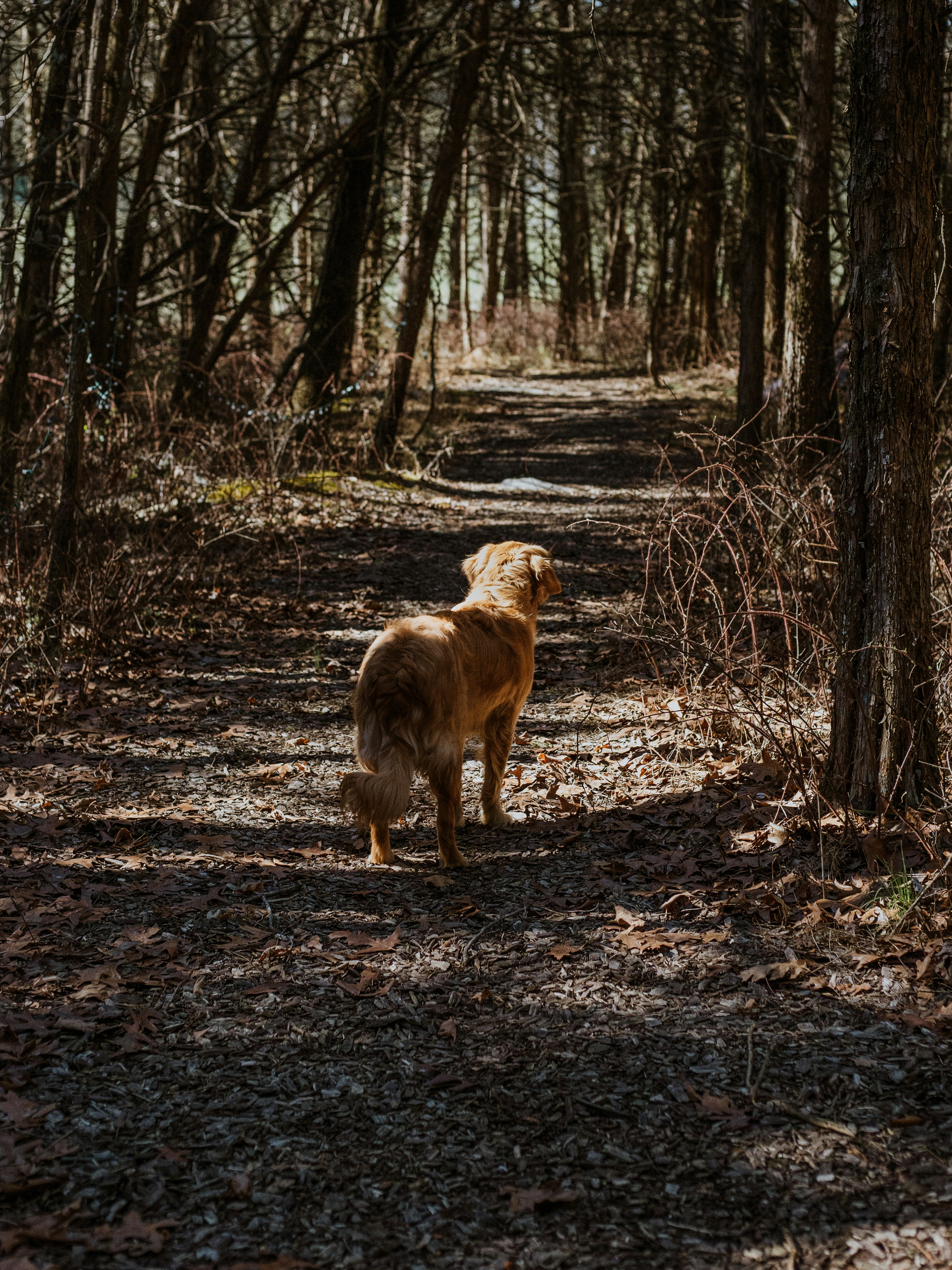 Photo by isaacmehegan