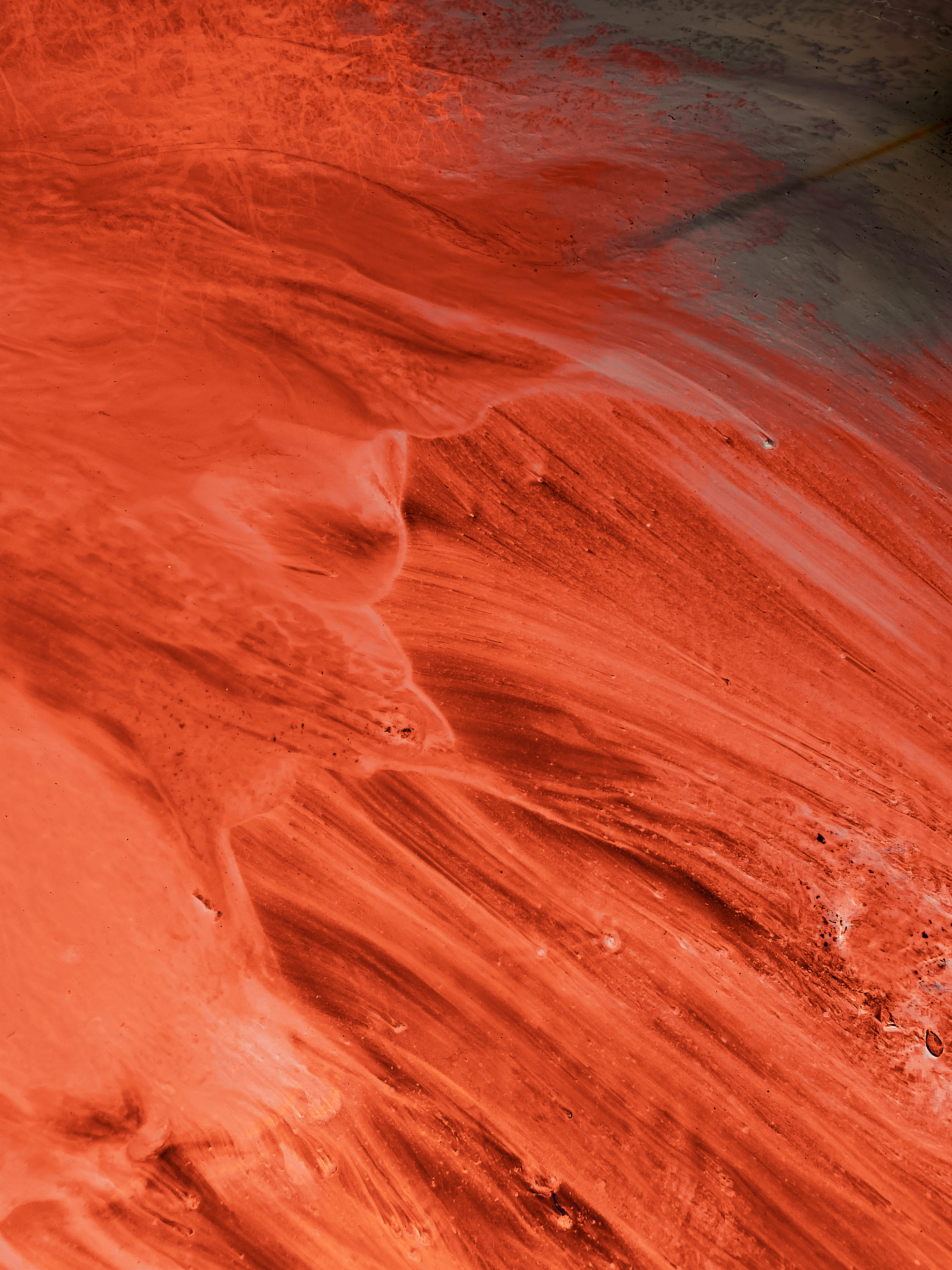 Photo by alexxingplus