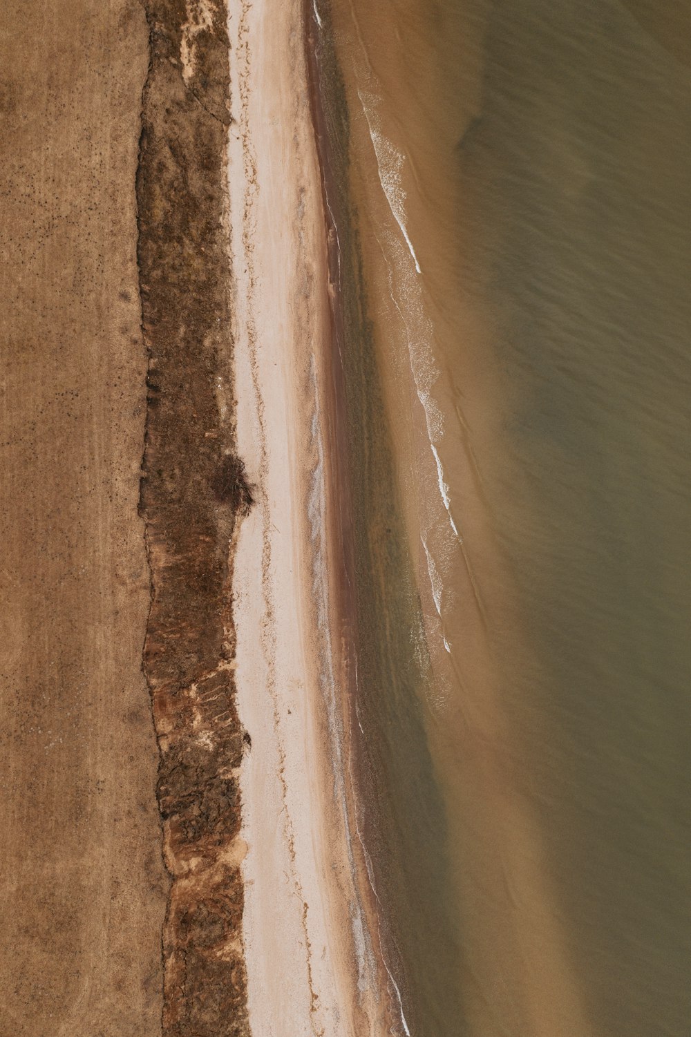 brown sand beside body of water during daytime