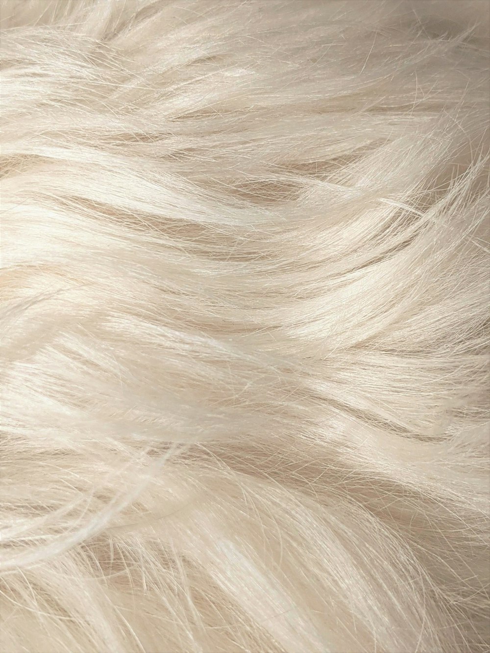 white hair on black textile