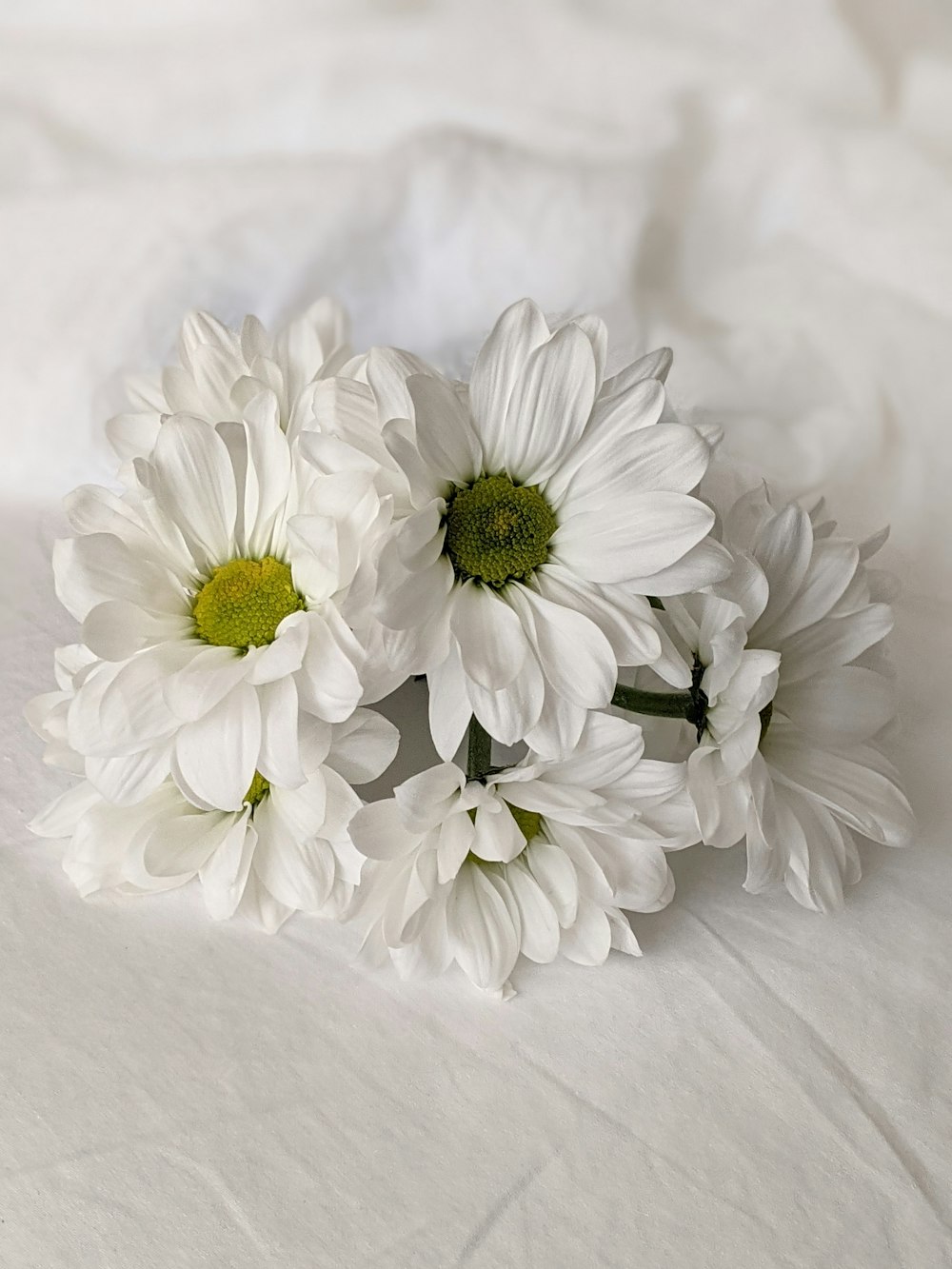 white flowers on white textile