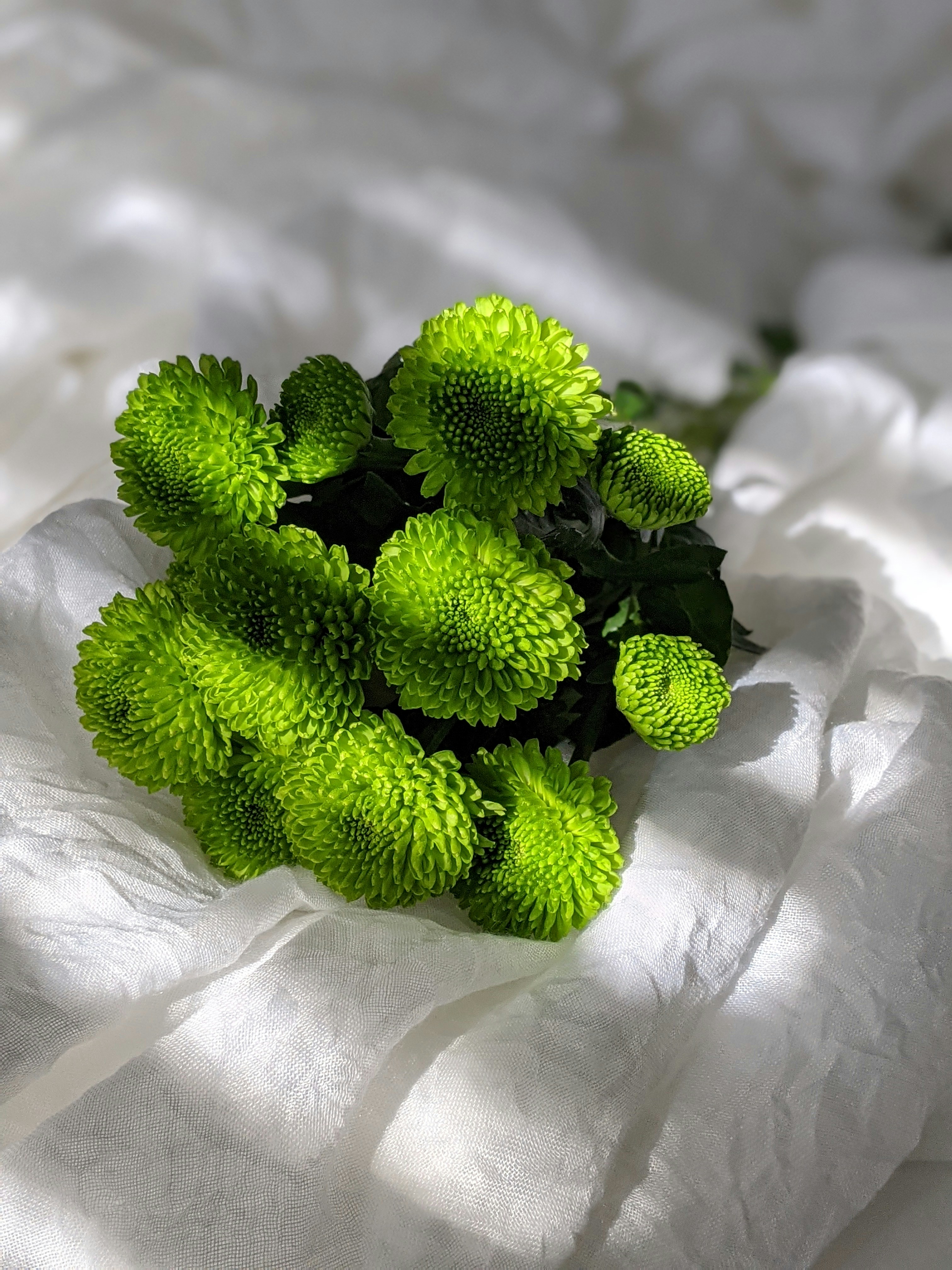 Photo by susan_wilkinson