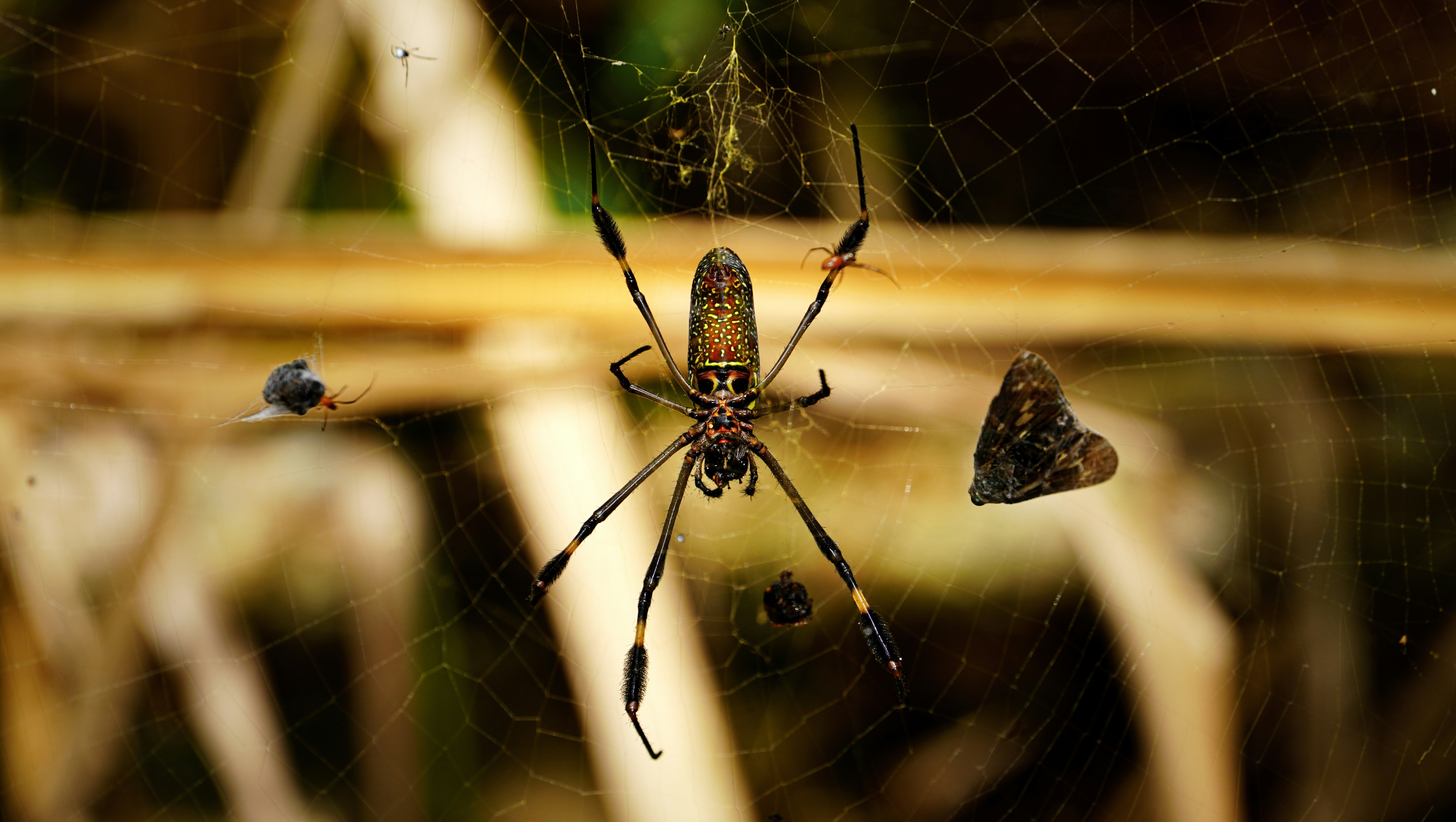 Photo by adrianvalverdem