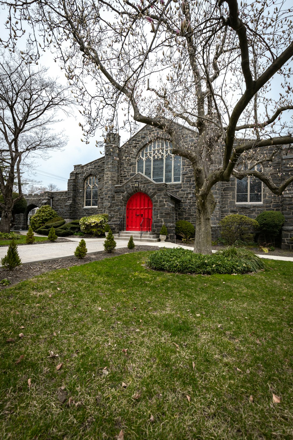 red and gray concrete building near bare trees during daytime