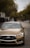 A gold-colored sedan is prominently positioned on a suburban street with trees lining the sides. The background includes other vehicles and residential buildings under a cloudy sky.