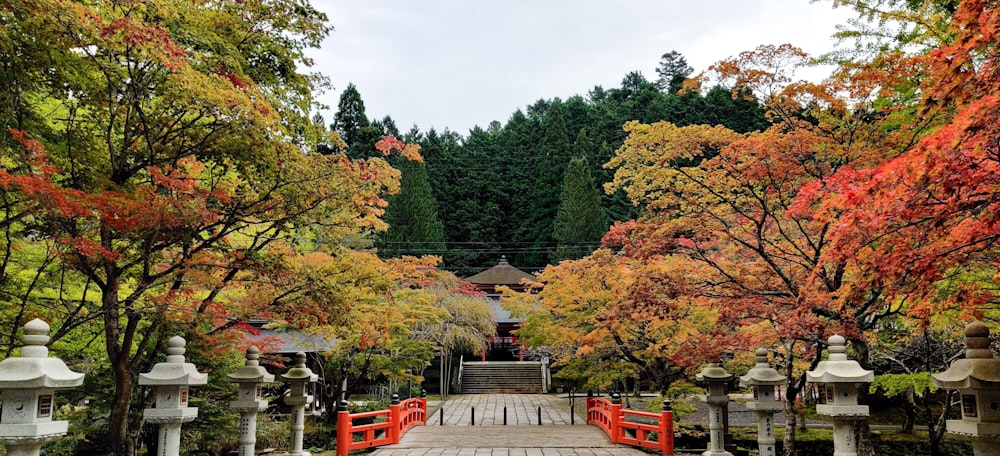 red wooden bench near green trees during daytime