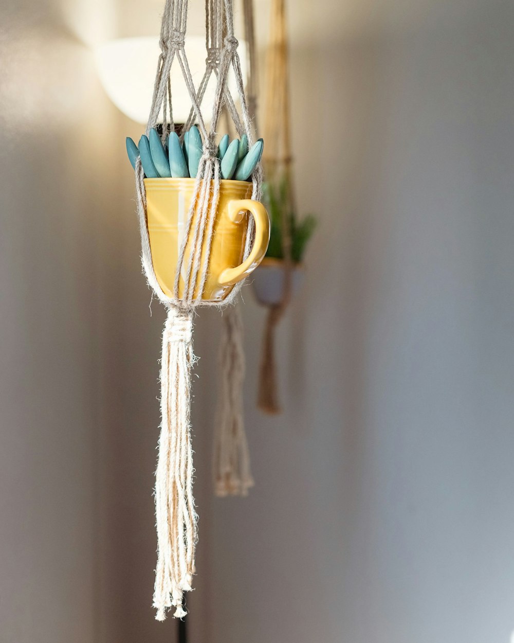 yellow and green hanging decor