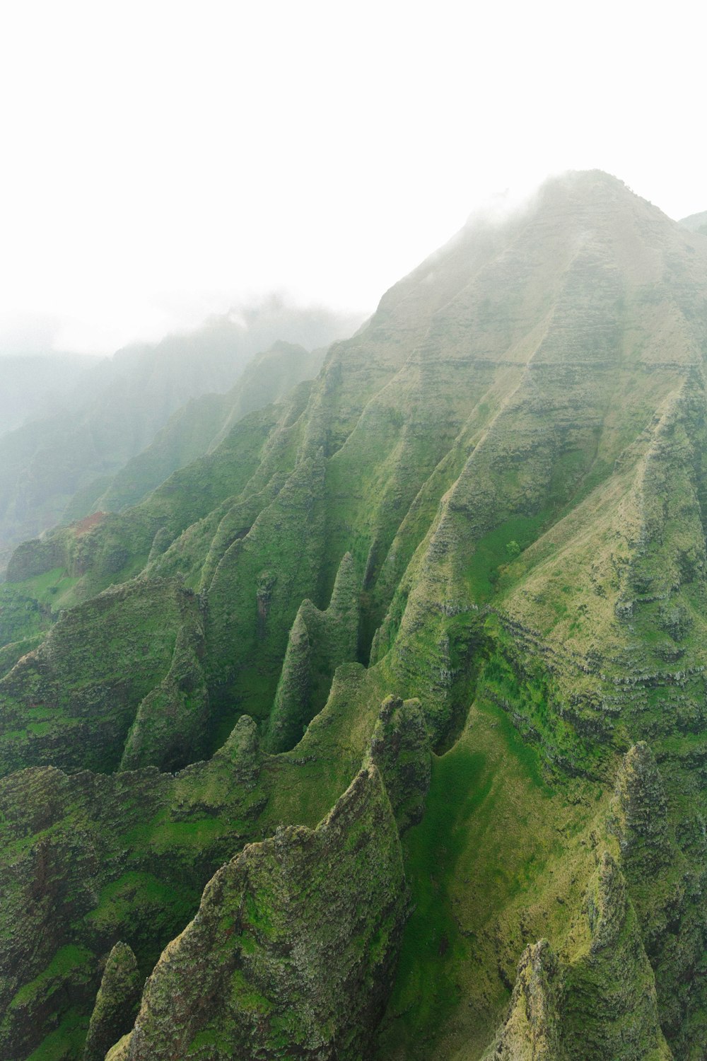 a very tall mountain covered in lush green grass