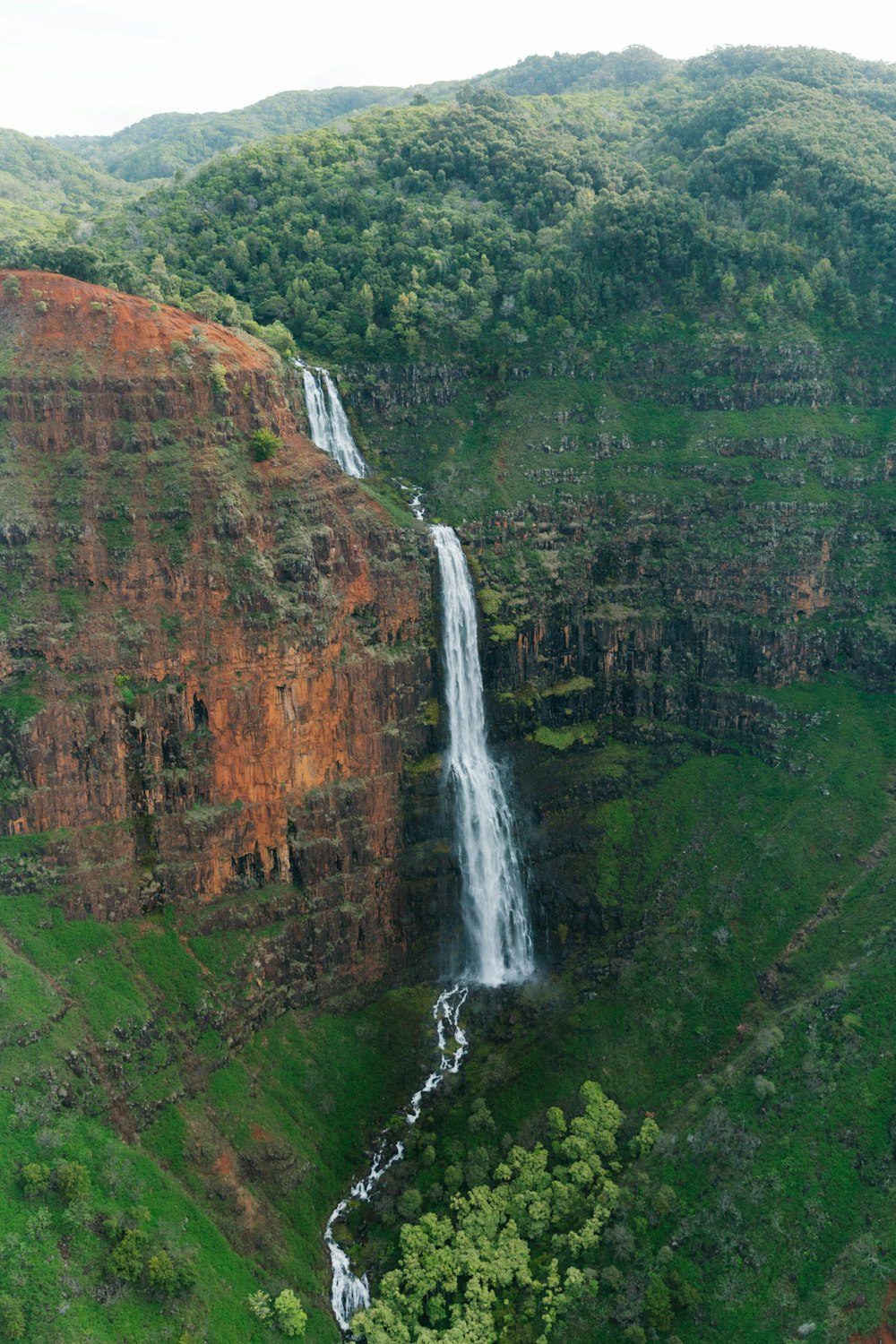 waterfalls in the middle of green trees