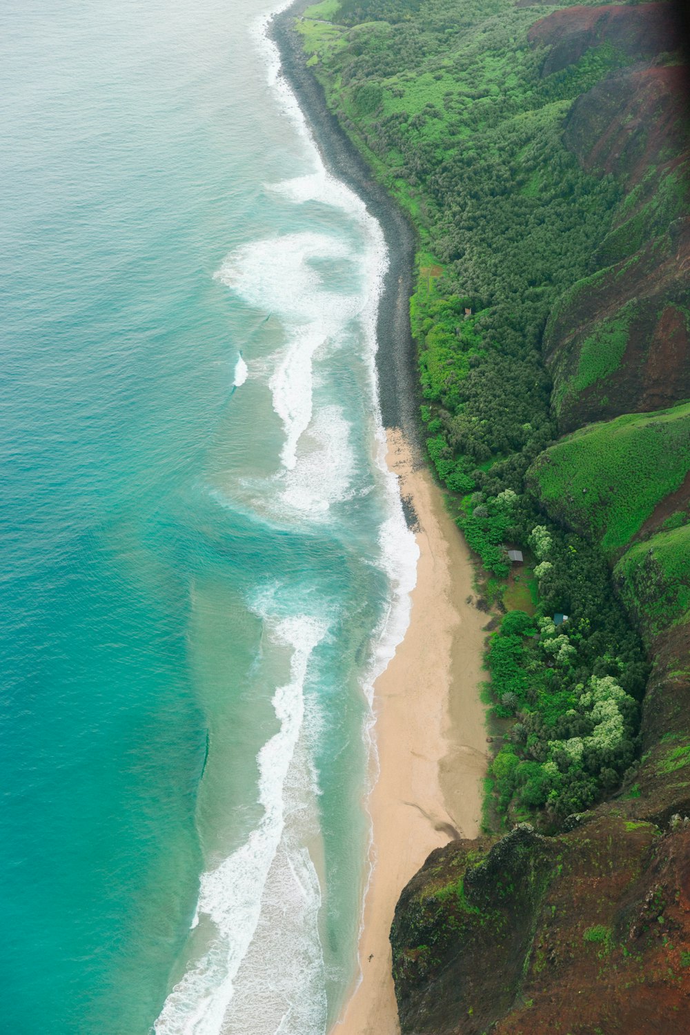 aerial view of green trees beside body of water during daytime