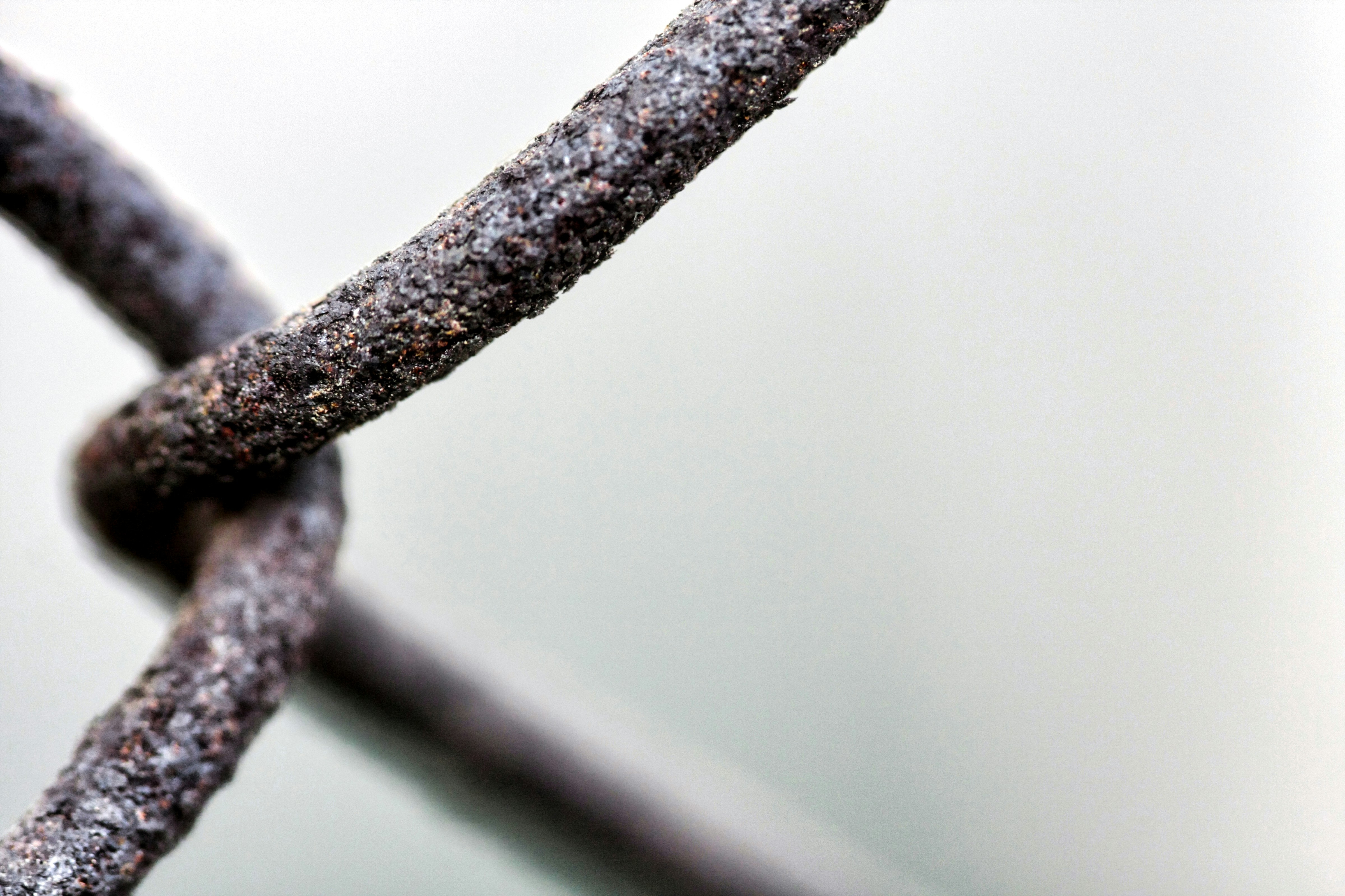 Photo by thomaskinto