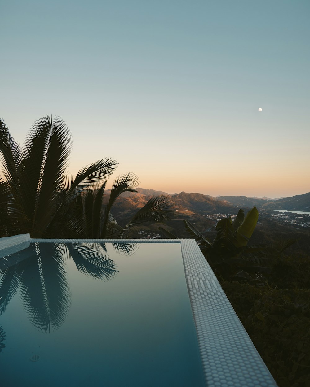 green palm tree near mountain during daytime