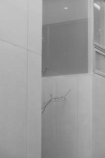 A minimalist black and white photograph featuring a modern architectural structure. Plain concrete walls form geometric shapes, and a bare branch protrudes from one of the walls, adding a natural element to the stark, clean lines of the building.