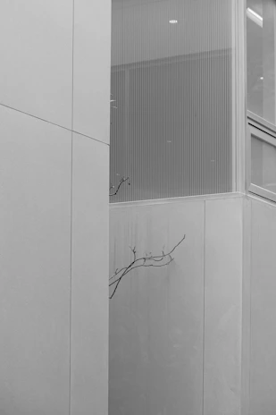 Minimalist black and white shot of a construction site highlighting smooth finished gypsum walls.
