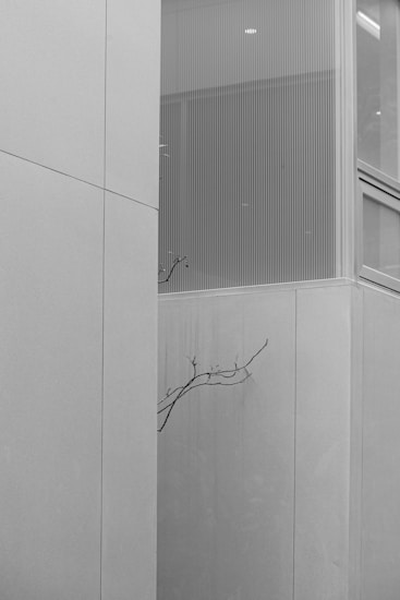 A minimalist black and white photograph featuring a modern architectural structure. Plain concrete walls form geometric shapes, and a bare branch protrudes from one of the walls, adding a natural element to the stark, clean lines of the building.