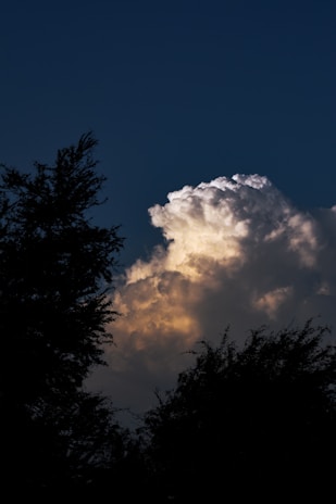 A vivid photo of a mushroom cloud rising over a test site at sunset.