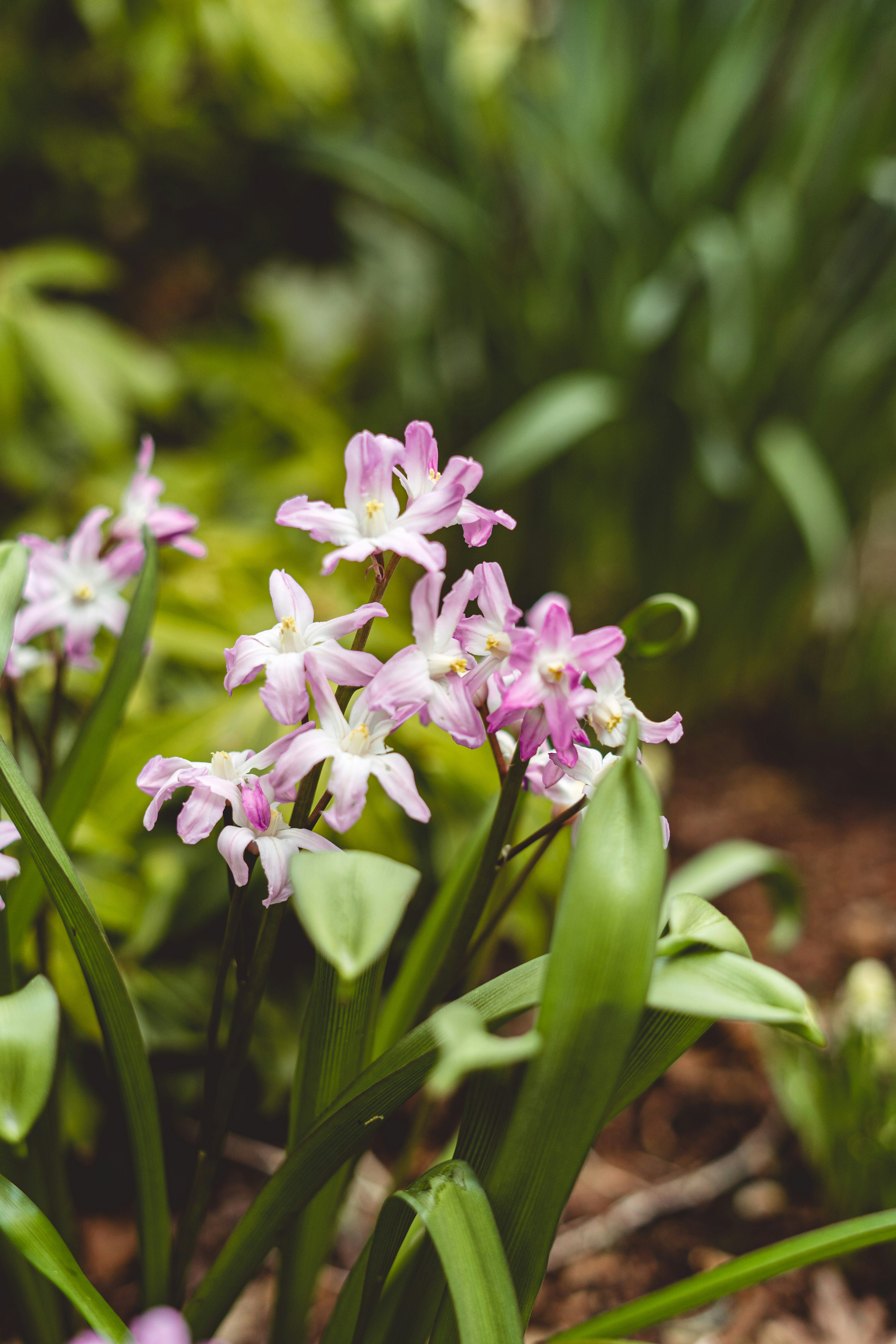 Photo by jaspergarrattphotography