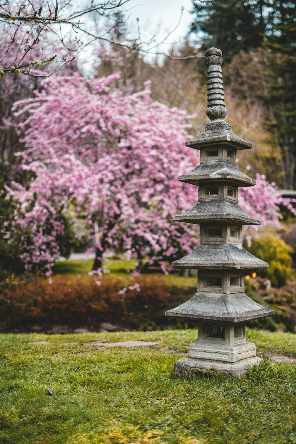 Torre de hormigón gris cerca de los cerezos rosas en flor durante el día