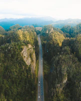 A modern highway cutting through green hills, symbolizing infrastructure development.
