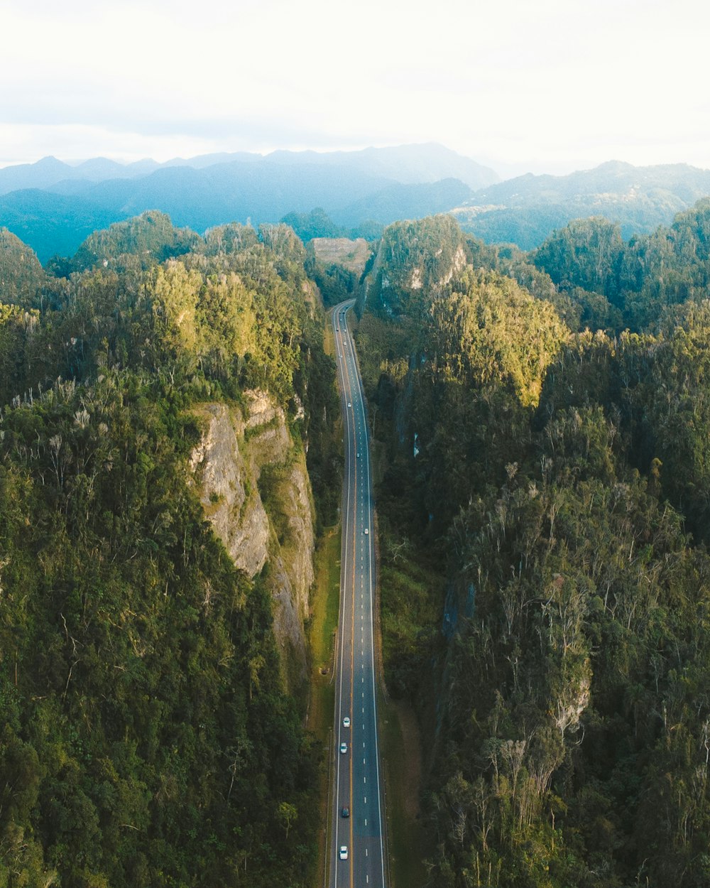 Vue aérienne d’arbres verts et de route pendant la journée